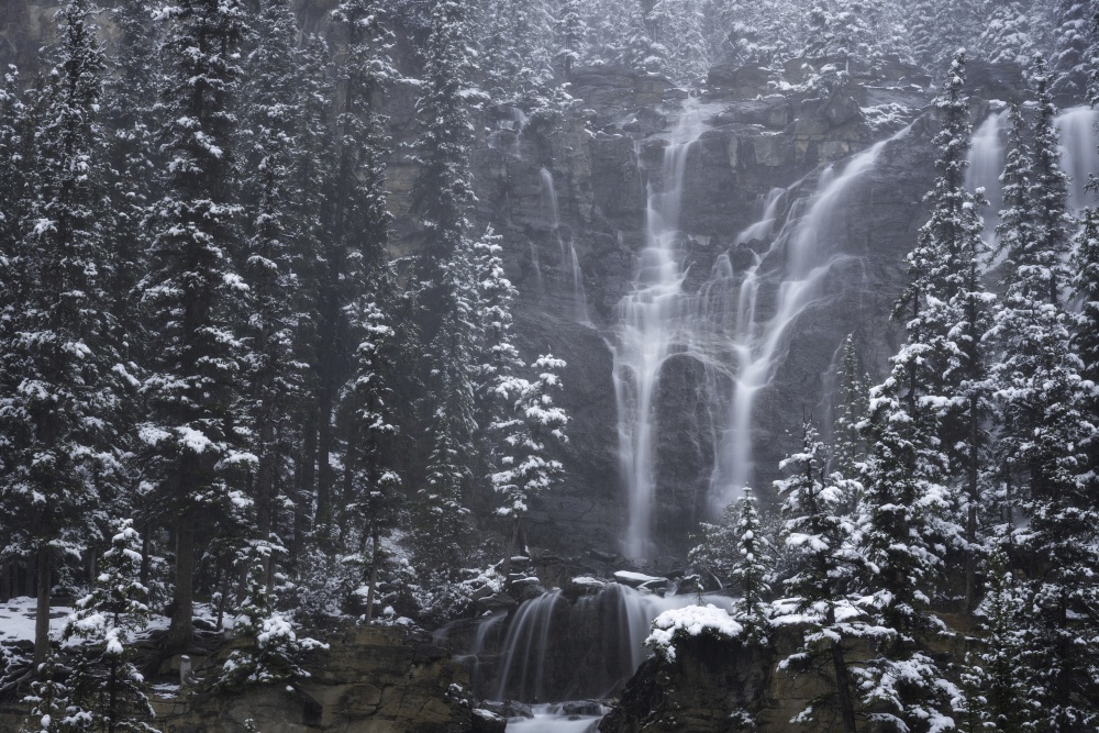 Tangle Falls along the Icefields Parkway in Alberta during an early June snowstorm.