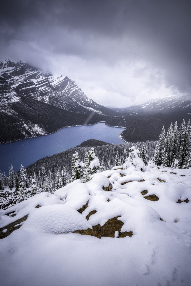 Iconic Peyto Lake in Banff National Park during an early Summer snowfall.