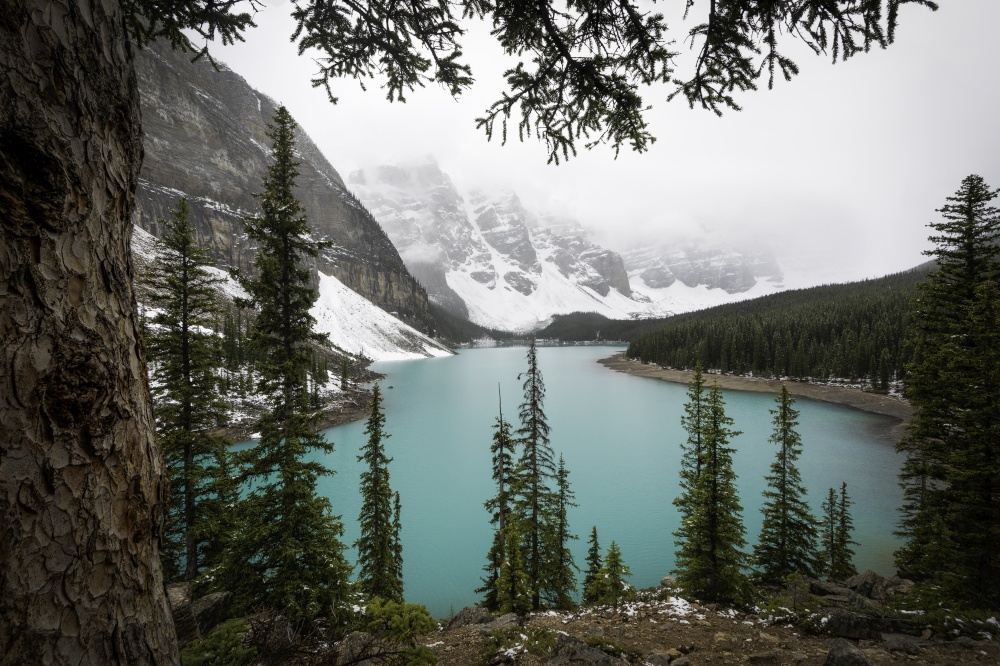 The iconic Moraine Lake of Banff National Park during an overcast afternoon in the early Summer.