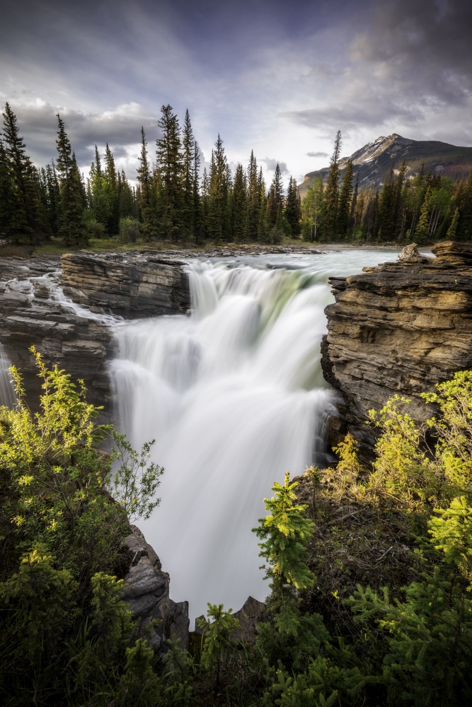 A raging Athabasca Falls during a pretty Summer evening in Jasper National Park.