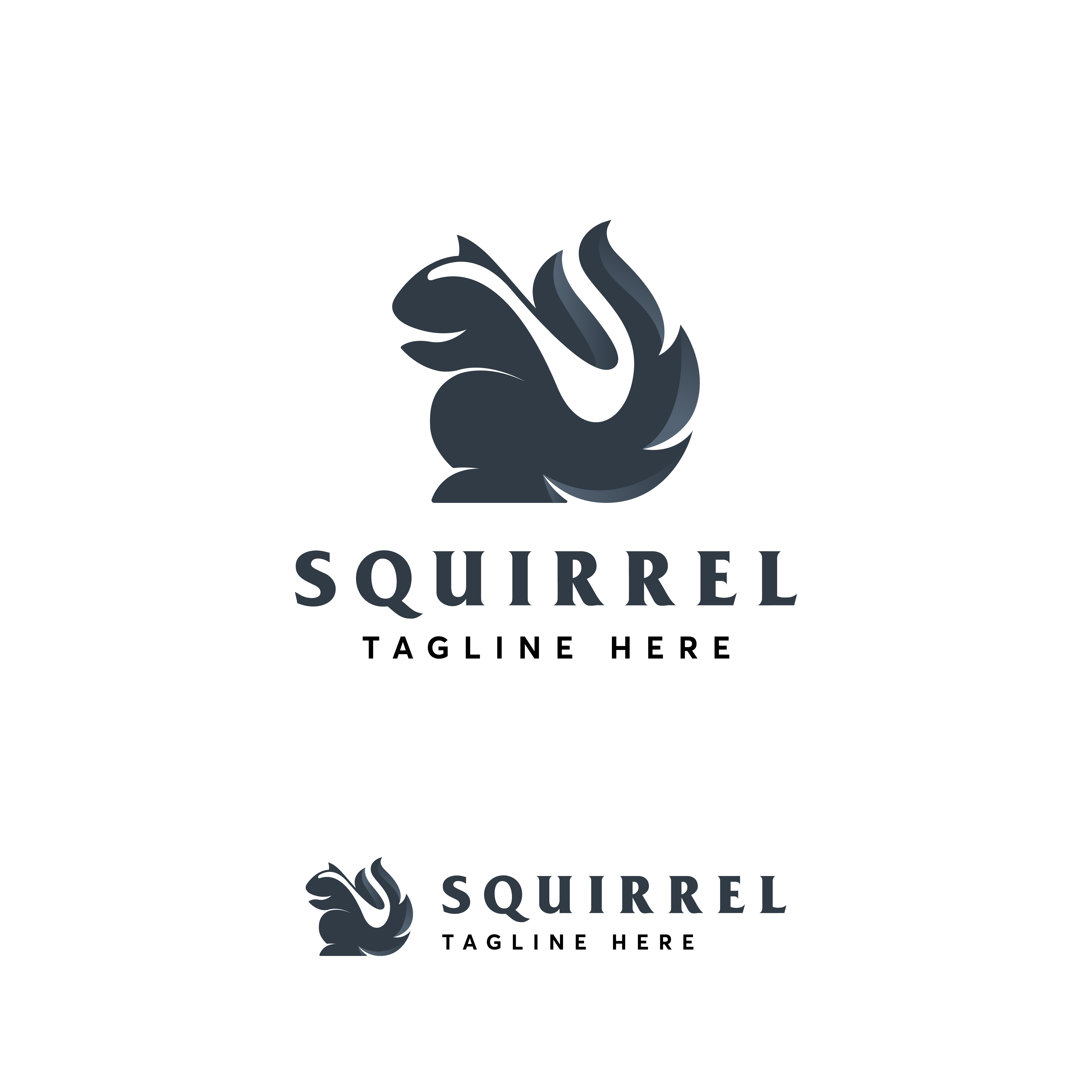 Squirrel  Logo Design Vector Template Modern And Minimalism