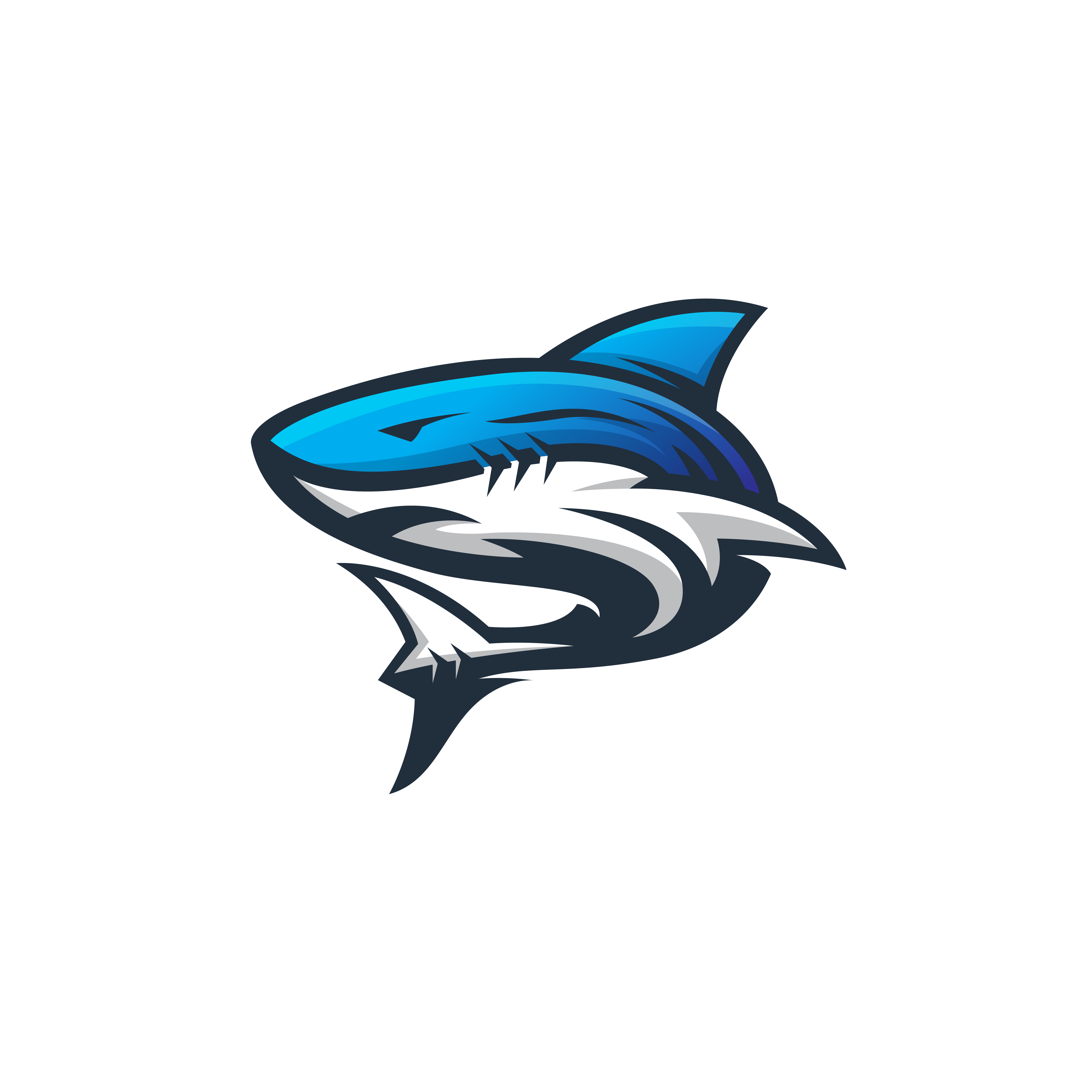 Shark Logo Design Vector Template Modern And Minimalism