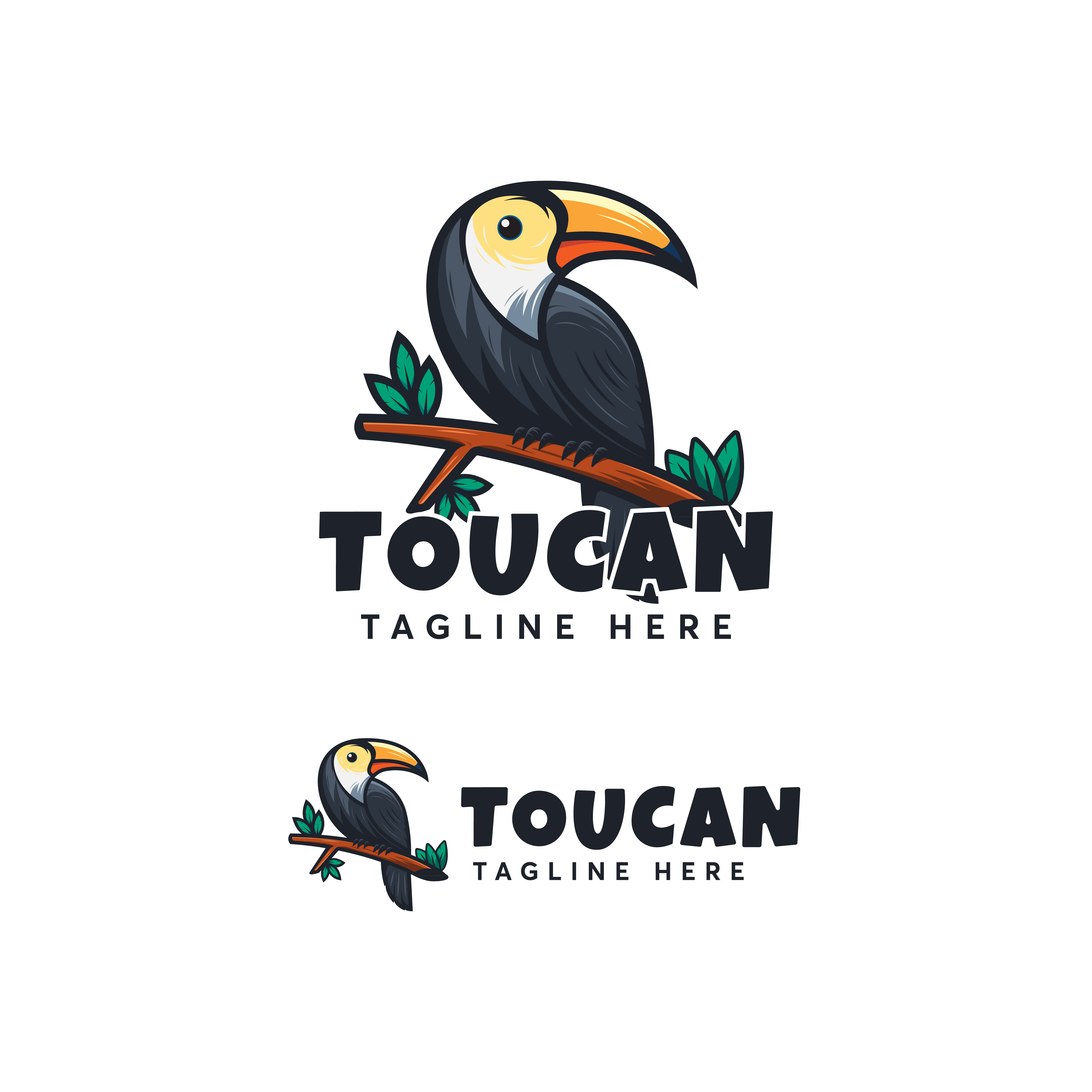 Toucan Logo Design Vector Template Modern And Minimalism