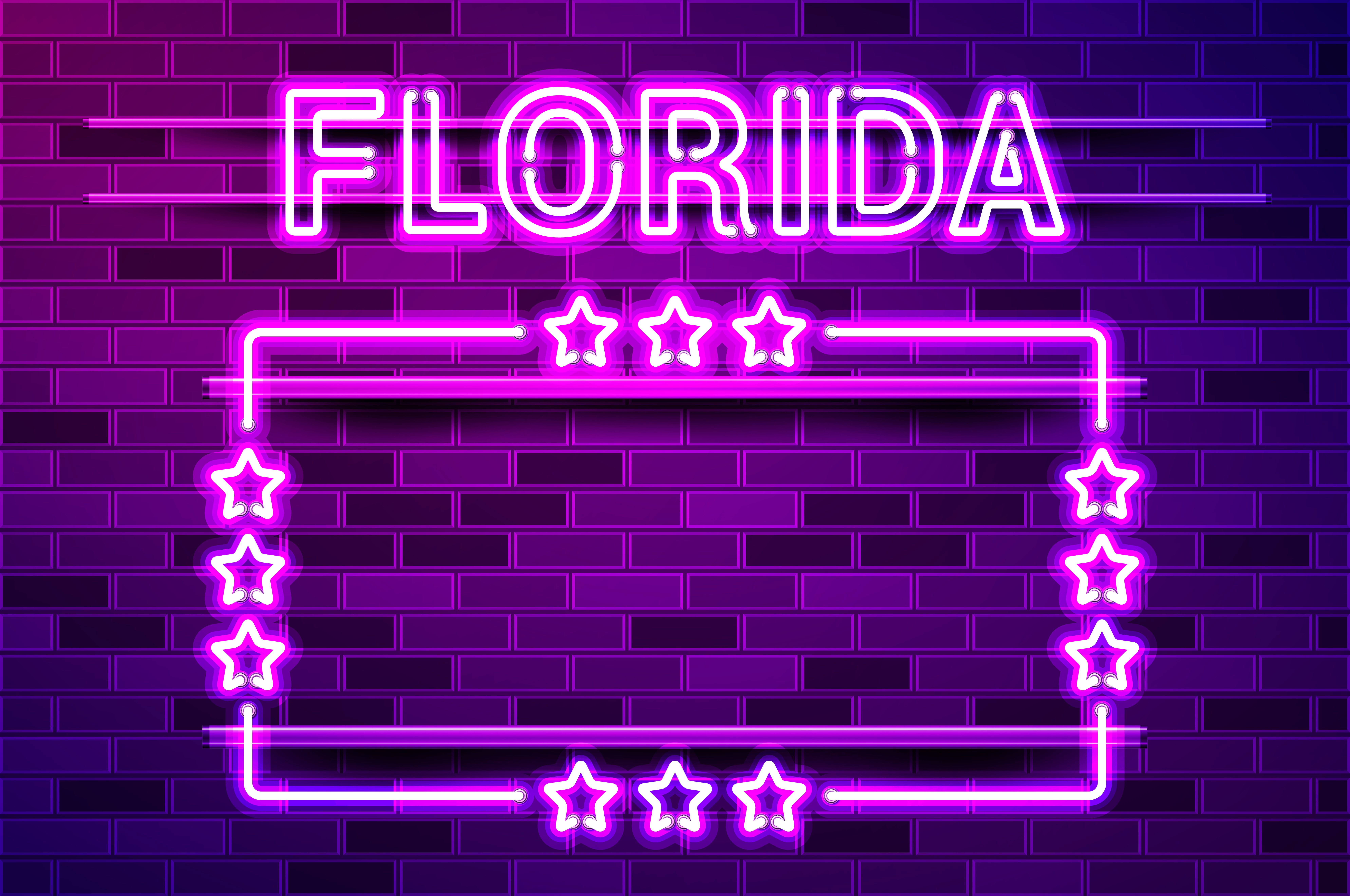Florida US State glowing purple neon lettering and a rectangular frame with stars. Realistic vector illustration. Purple brick wall, violet glow, metal holders.. Florida US State glowing purple neon lettering and a rectangular frame with stars