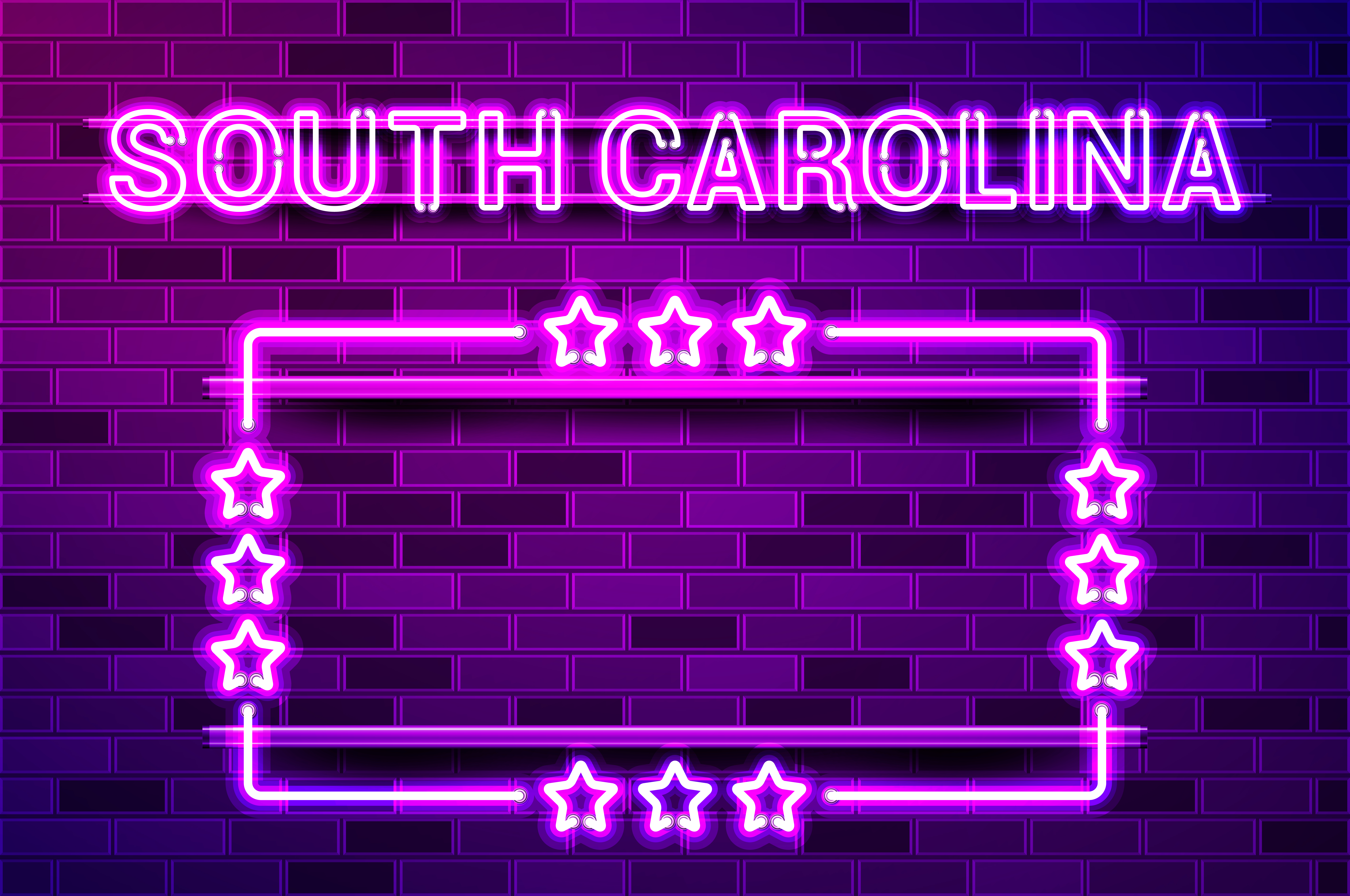 South Carolina US State glowing purple neon lettering and a rectangular frame with stars. Realistic vector illustration. Purple brick wall, violet glow, metal holders.. South Carolina US State glowing purple neon lettering and a rectangular frame with stars