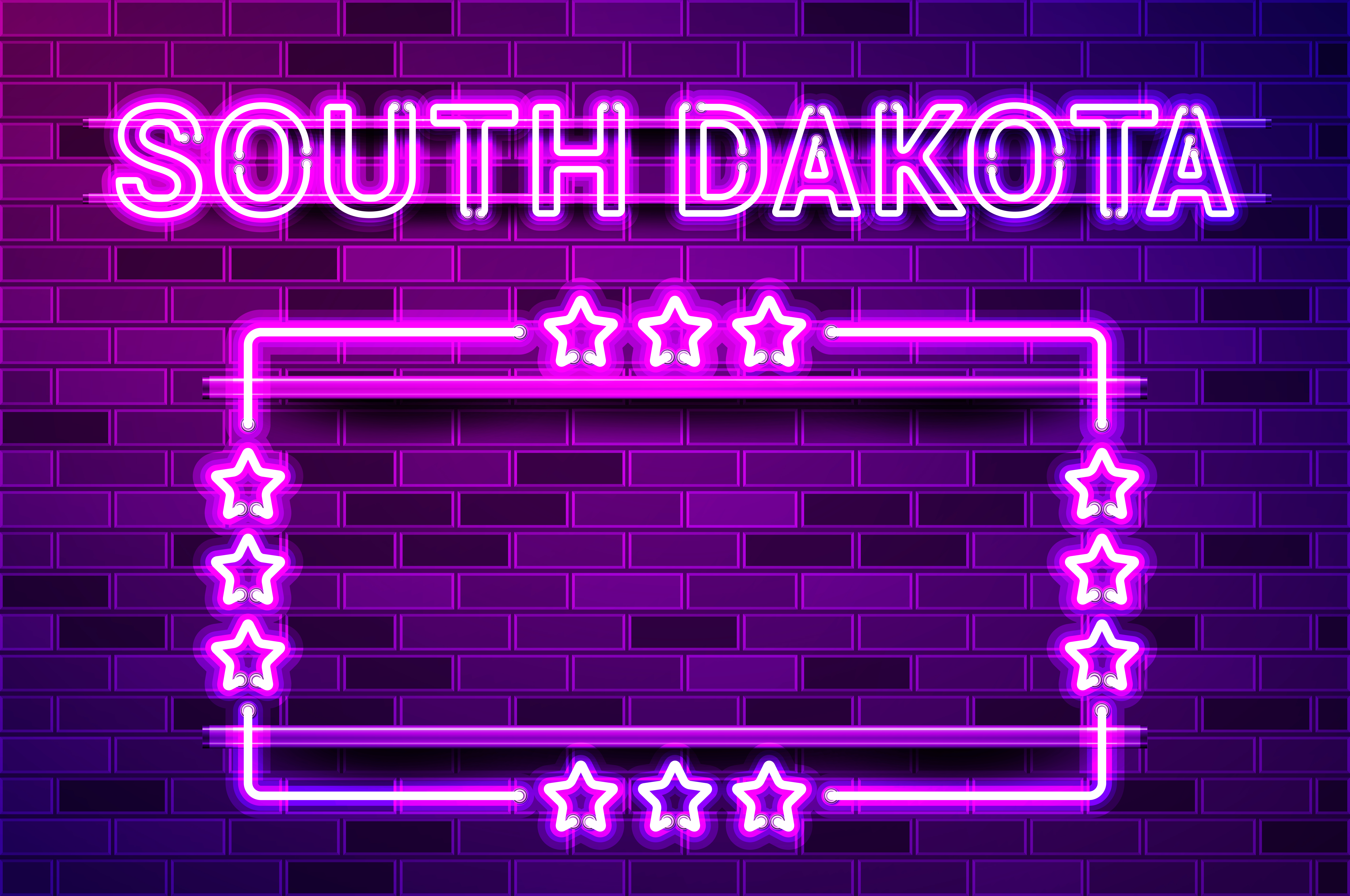South Dakota US State glowing purple neon lettering and a rectangular frame with stars. Realistic vector illustration. Purple brick wall, violet glow, metal holders.. South Dakota US State glowing purple neon lettering and a rectangular frame with stars