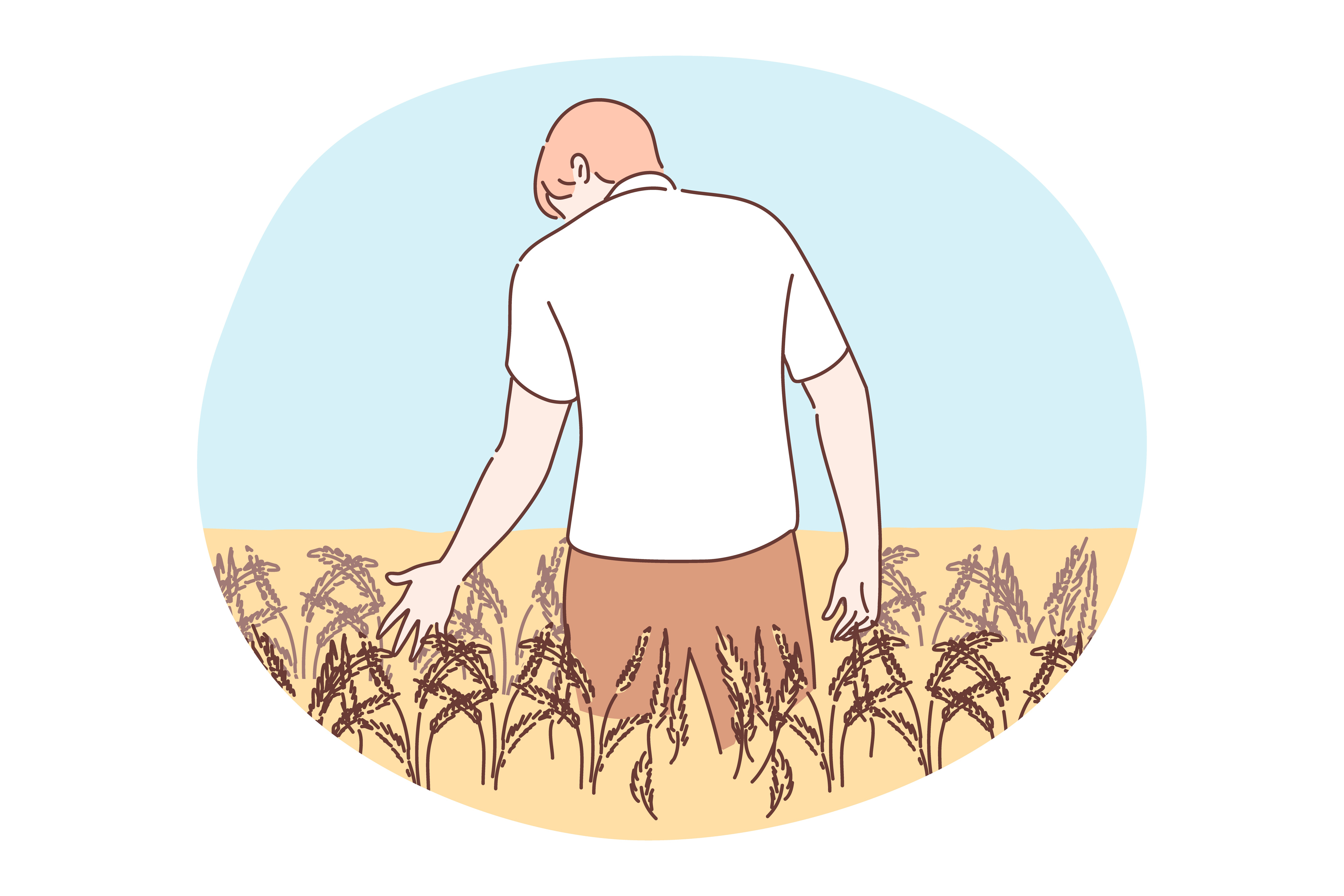 Agriculture, farming, harvesting concept. Young man or boy agronomist farmer cartoon character standing in farmland golden wheat field holding rye ear. Barley or grain agricultural harvest season.. Agriculture, farming, harvesting concept