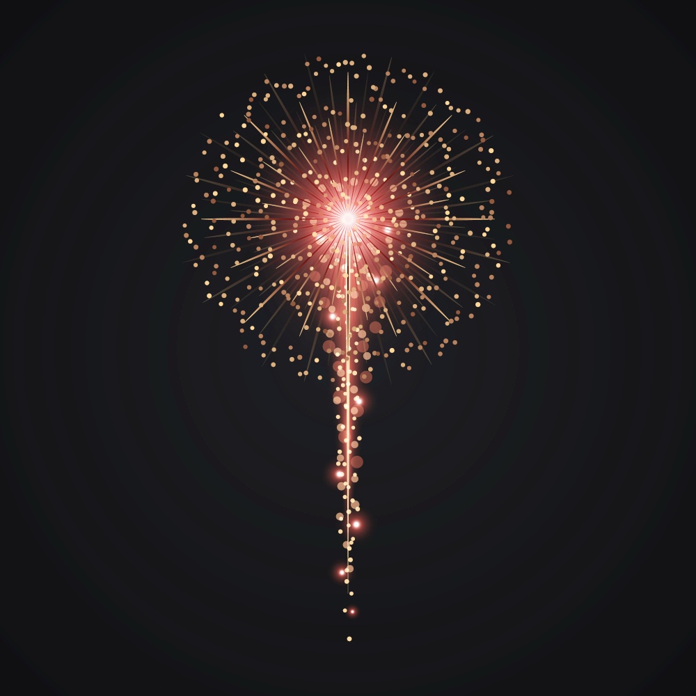 Vector gold Firework on night background. Vector gold Firework Template for your design