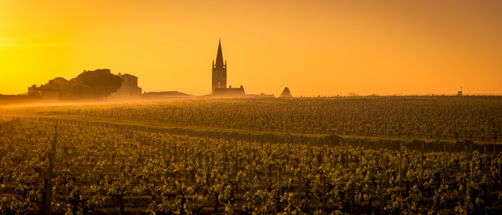 Vineyard and village of Saint-Emilion at sunrise, panoramic, Gironde, France. Vineyard and village of Saint-Emilion at sunrise, panoramic, France