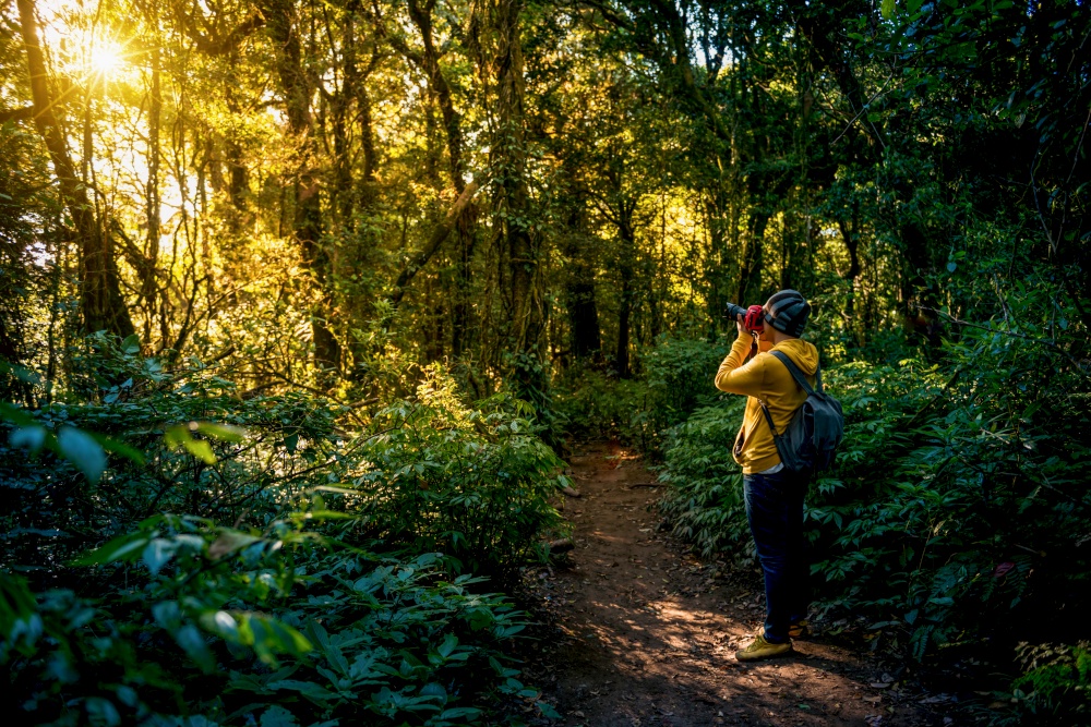 Professional photographer takes photos with camera in the forest. travel , asia , mountain