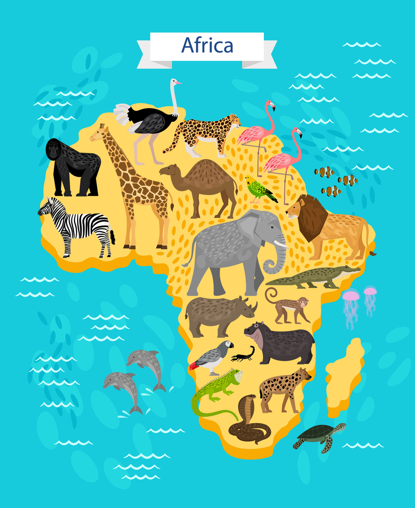 Animals and Birds on Africa Map