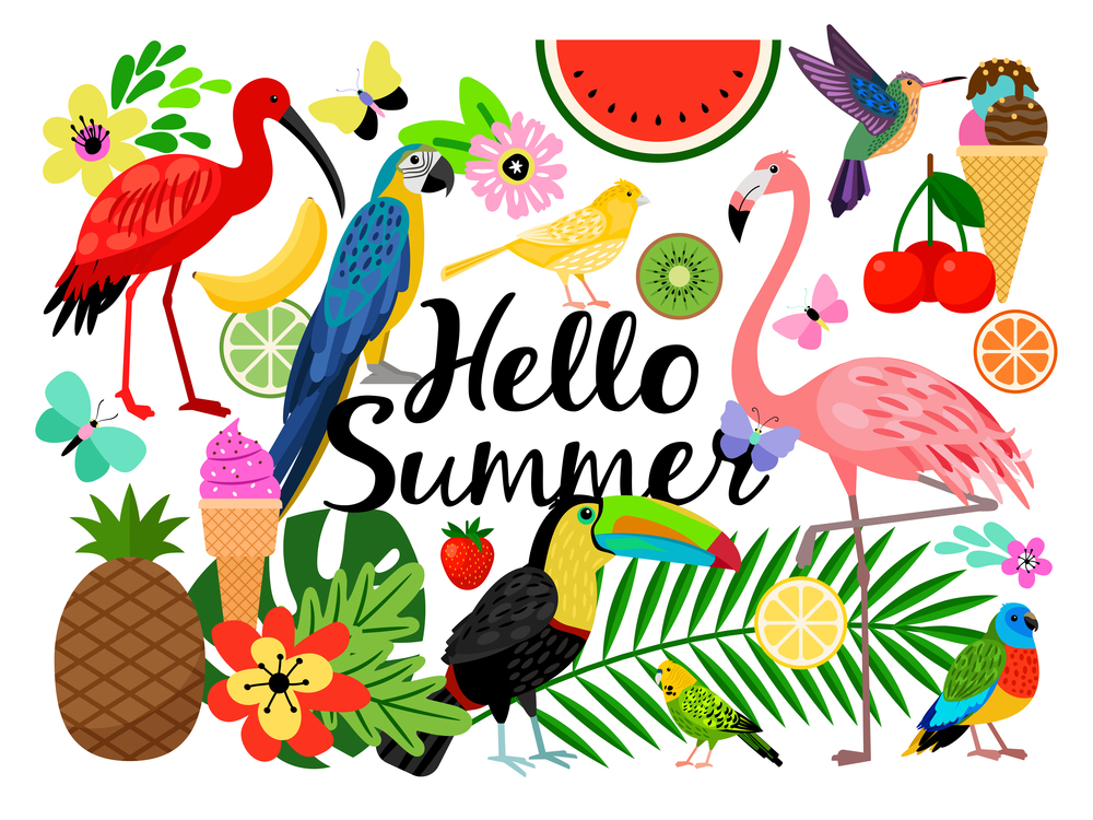 Hello Summer set with flamingo, parrot, ice cream and flowers