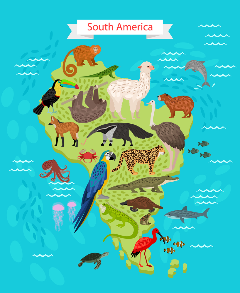 Beautiful Animals and Birds on South America Map