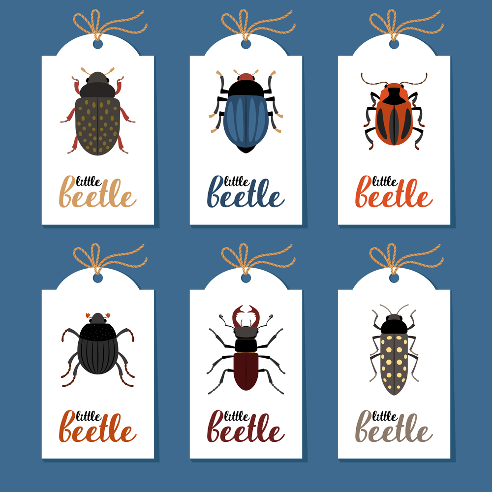 Collection of labels with different beetles