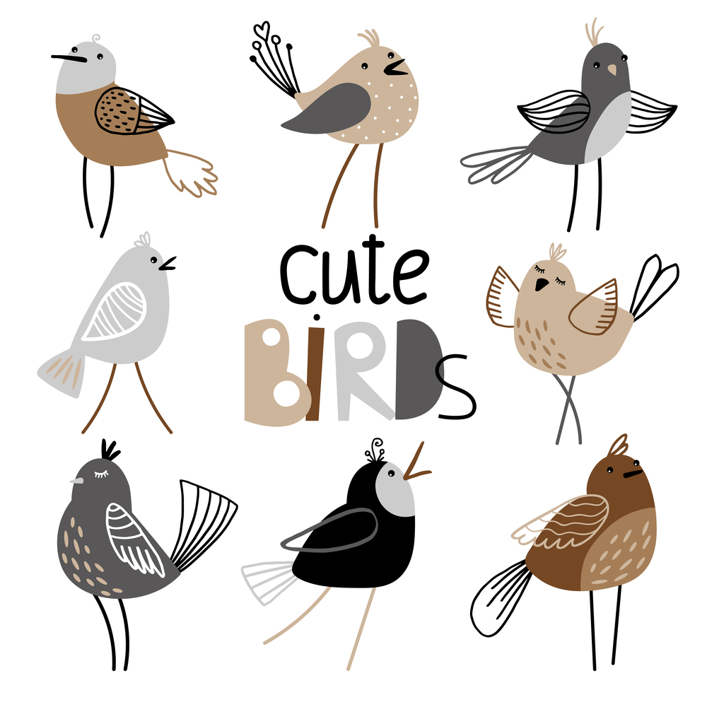 Collection of charming birds