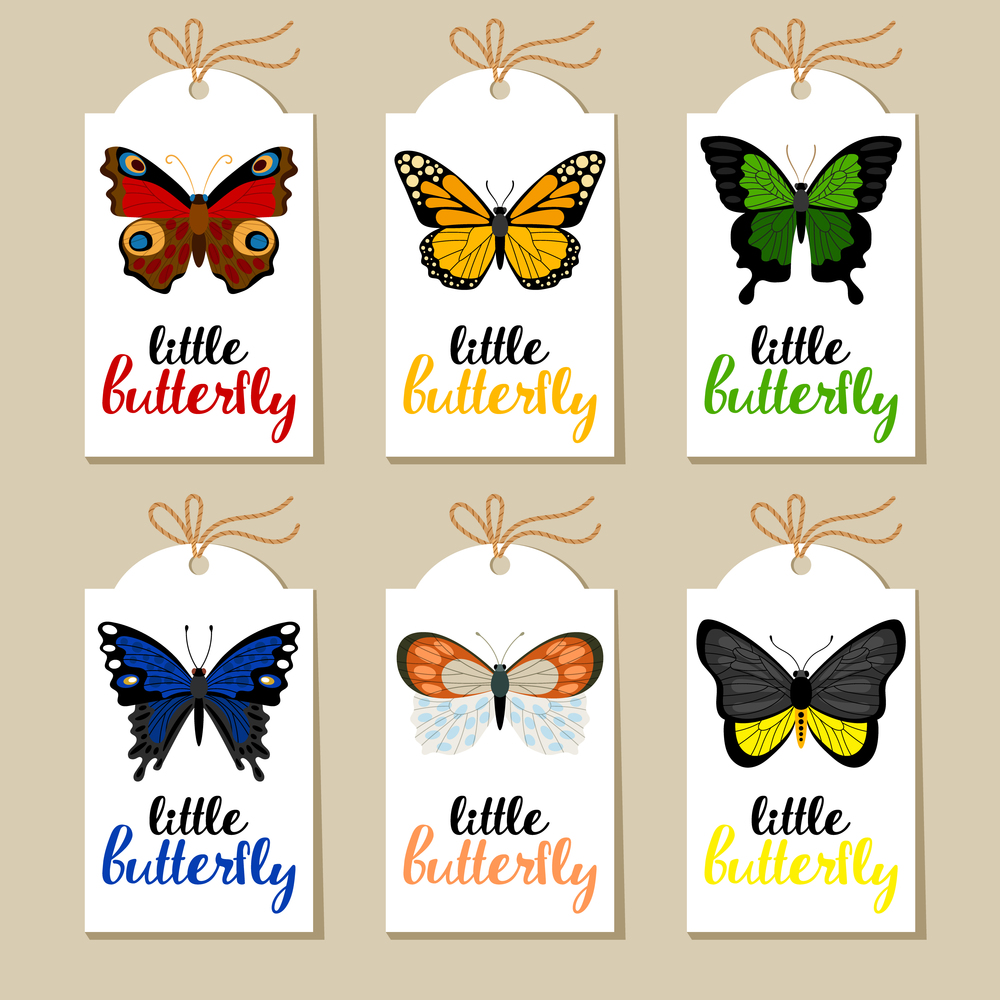 Collection of labels with different butterflies