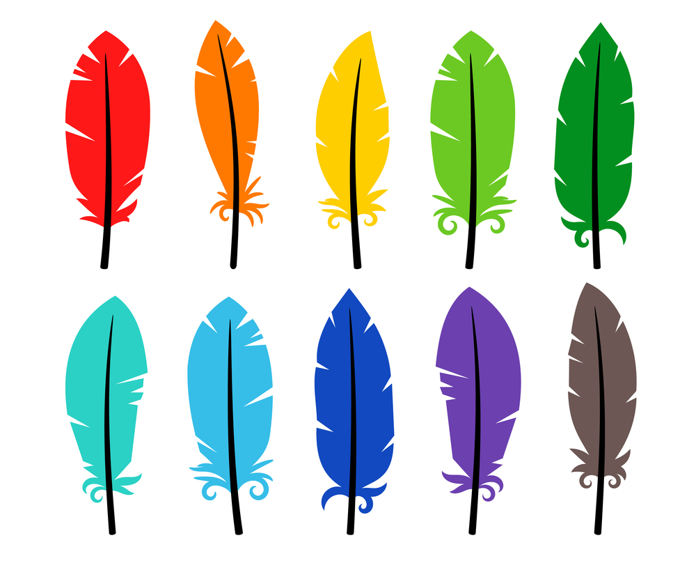 Collection of  rainbow colored bird feathers