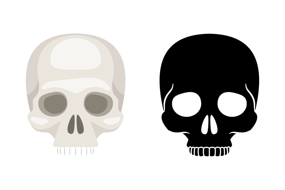 Vector illustration of human skulls on white background