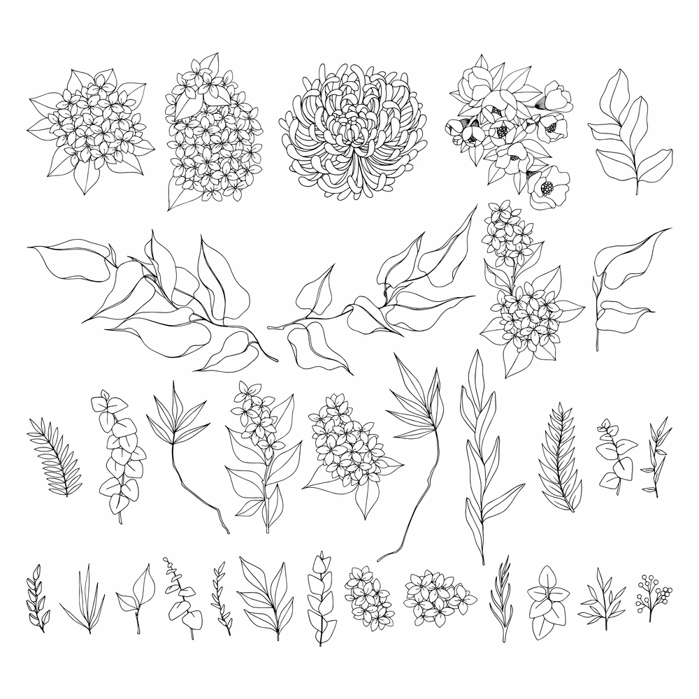 A set of contour flowers. Linear drawing. Vector illustration. A set of contour flowers. Linear drawing.