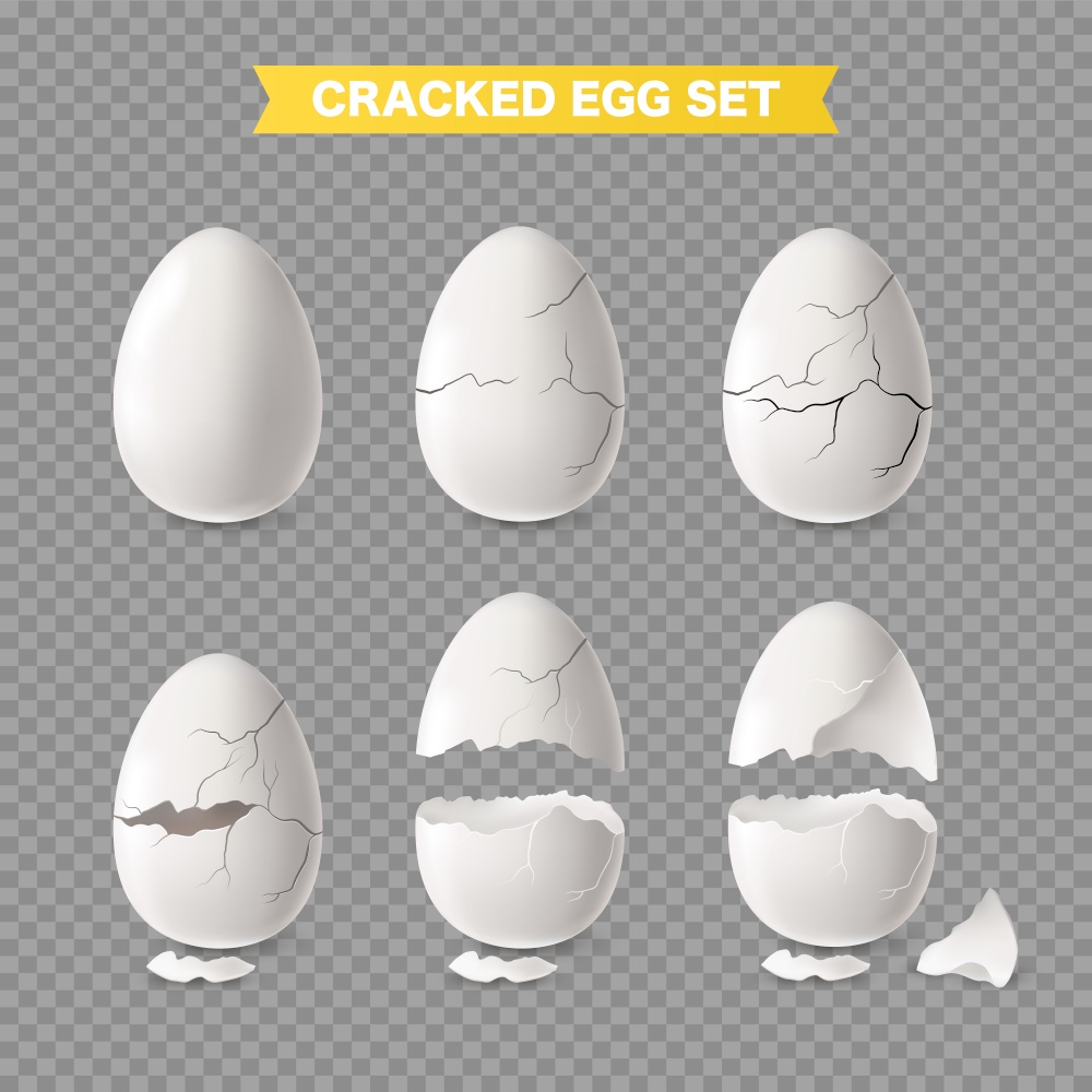 Realistic white cracked and open egg transparent set isolated vector illustration. White Egg Transparent Set