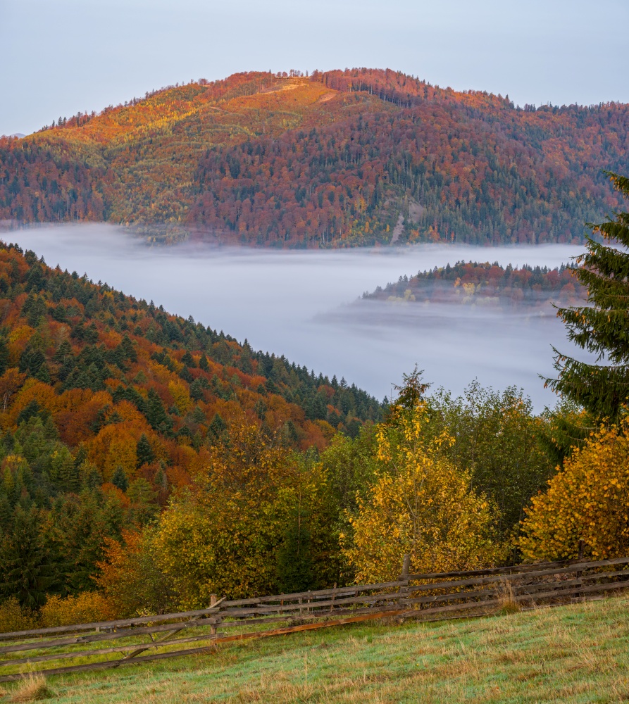 Cloudy and foggy autumn mountain early morning pre sunrise scene. Peaceful picturesque traveling, seasonal, nature and countryside beauty concept scene. Ukraine, Carpathian Mountains, Transcarpathia.
