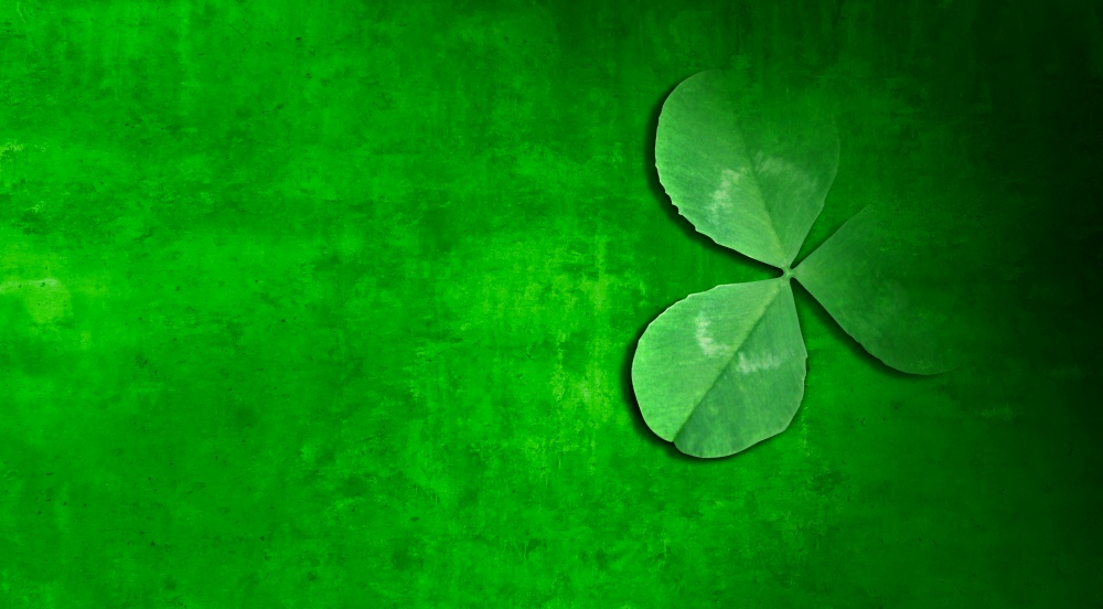 Green shamrock as a three leaf clover background as a St Patricks day symbol and seasonal spring icon of Irish tradition celebration in a 3D render. style