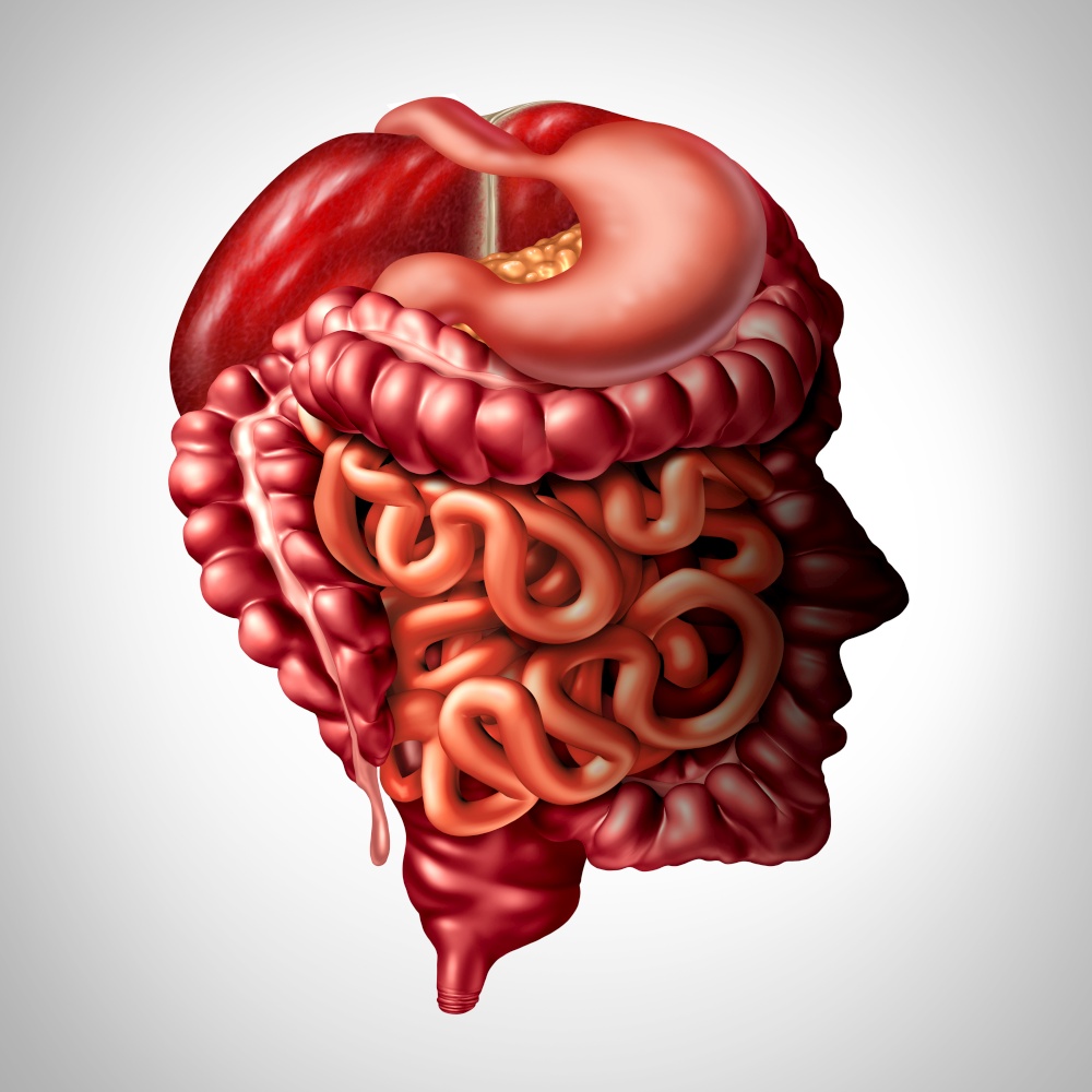Psychology of digestion and human digestive gut brain connection concept as a liver pancreas with a stomach and large intestine and small intestines as a 3D illustration.
