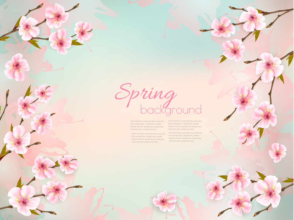 Spring nature background with a pink sakura blossom. Vector