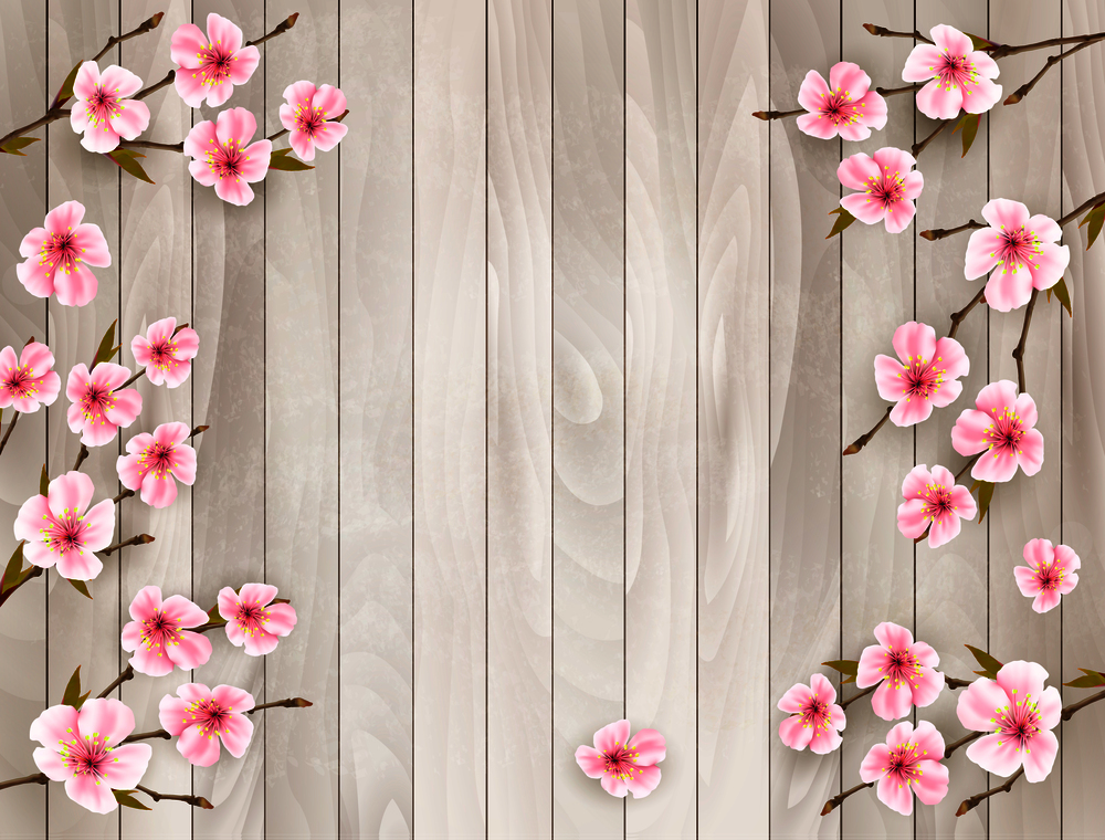 Cherry branch with a pink flowers on wooden background. Vector