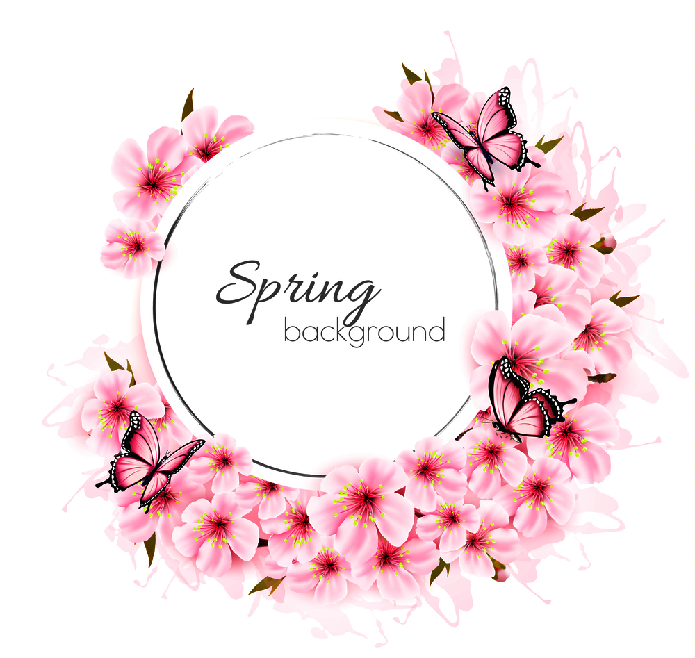 Spring nature background with cherry branch and butterflies. Vector
