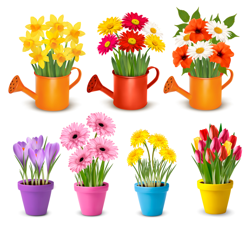 Big collection of spring and summer colorful flowers in pots.  Vector