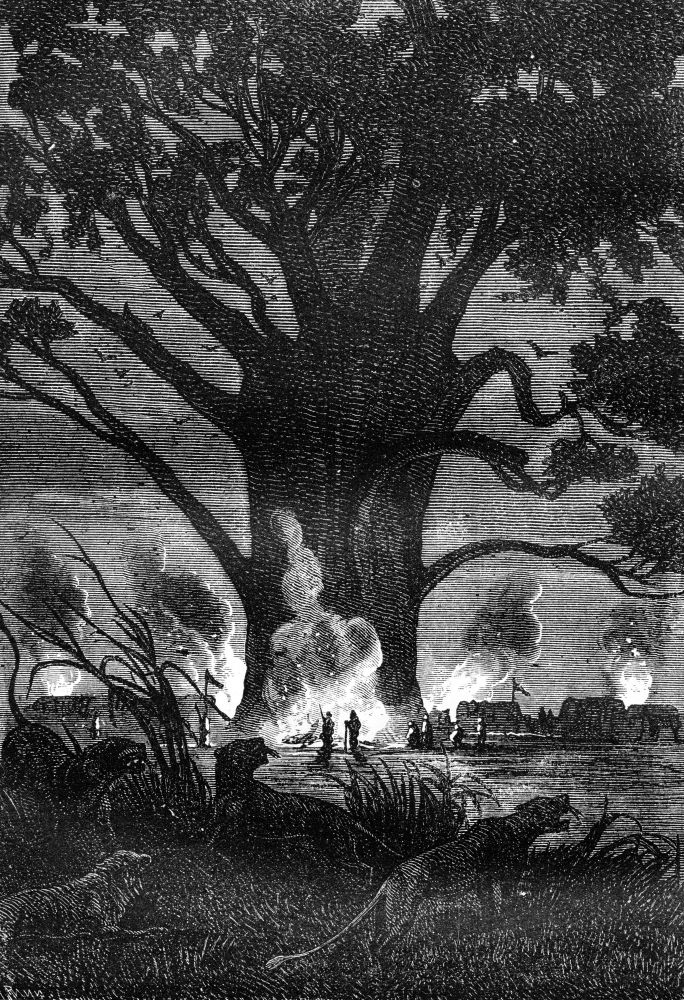 Large fires, vintage engraved illustration. Jules Verne 3 Russian and 3 English, 1872.