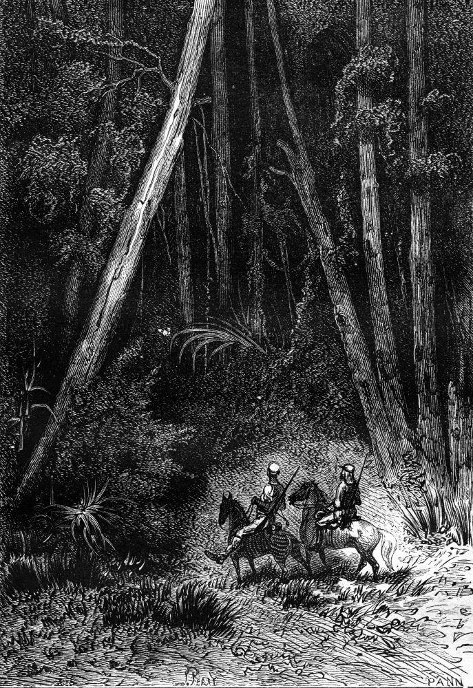 It was a tall forest, vintage engraved illustration. Jules Verne 3 Russian and 3 English, 1872.