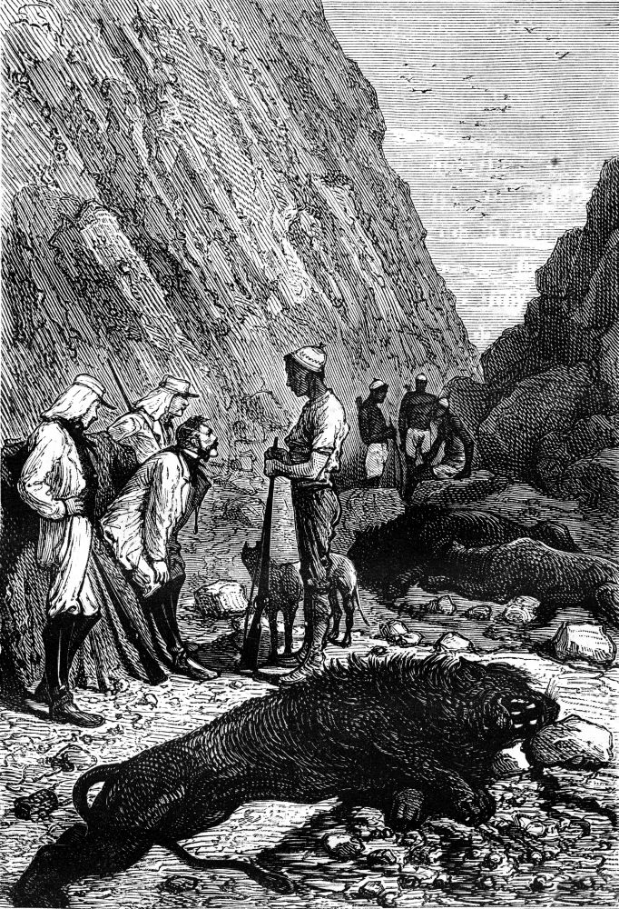 Soldier explorers and Makololo tribe native hunters with a dead lion in South Africa. From Jules Verne 3 Russians and 3 English Book, vintage engraving, 1871.