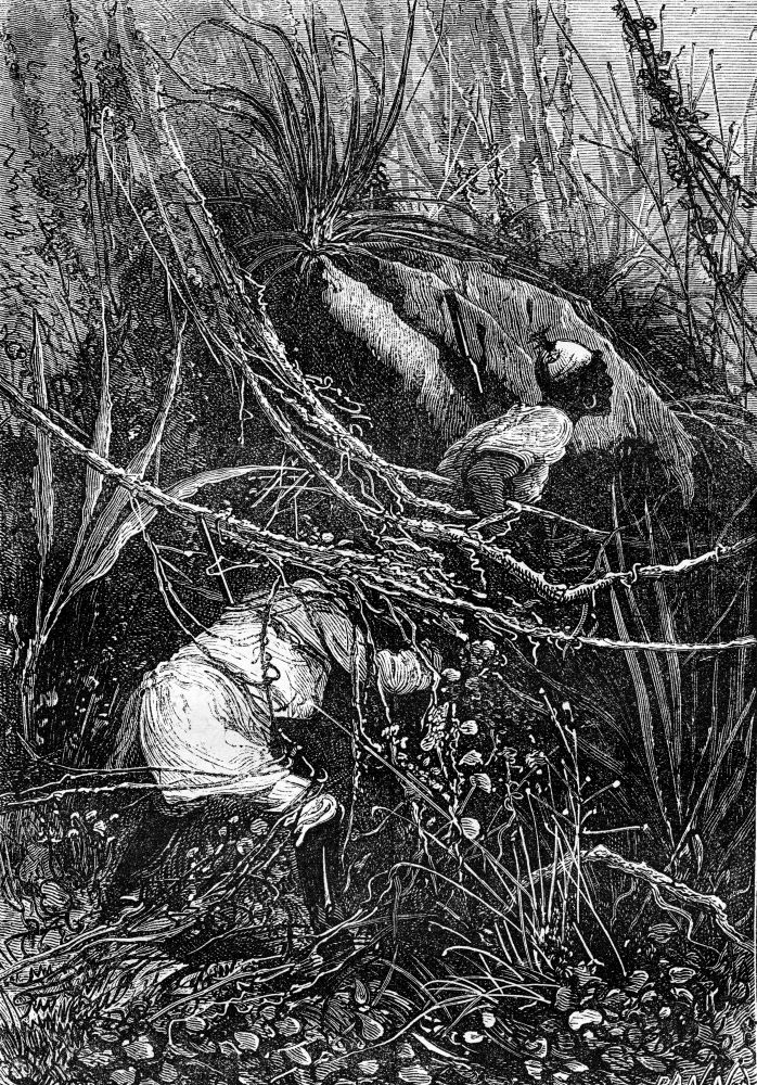Bushman and Sir John slipped under the bushes, vintage engraved illustration. Jules Verne 3 Russian and 3 English, 1872.