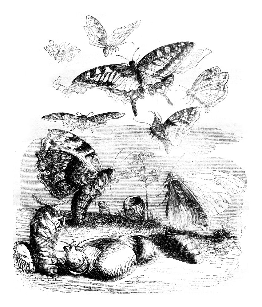 Resurrection, vintage engraved illustration. Magasin Pittoresque 1841.