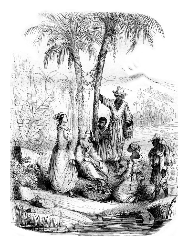 Customs of the West Indies, vintage engraved illustration. Magasin Pittoresque 1842.