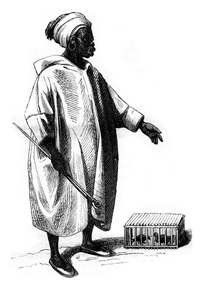 man bird merchant, vintage engraved illustration. Magasin Pittoresque 1843.