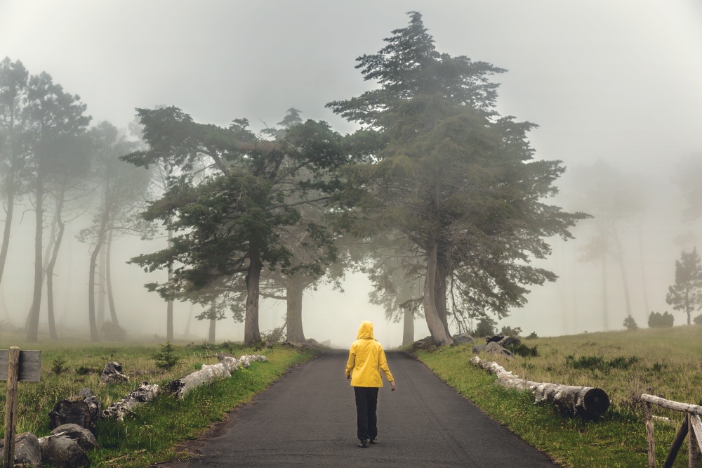 Female traveler walking on a beautiful road on a foggy morning