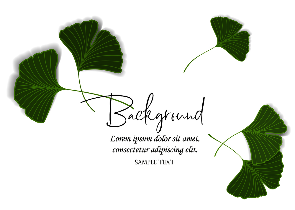 Vector Illustration ginkgo biloba leaves. Nature background with leaves.. Ginkgo biloba leaves
