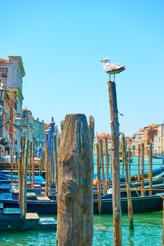 Quayside for gondolas with wooden mooring poles in Venice, Italy