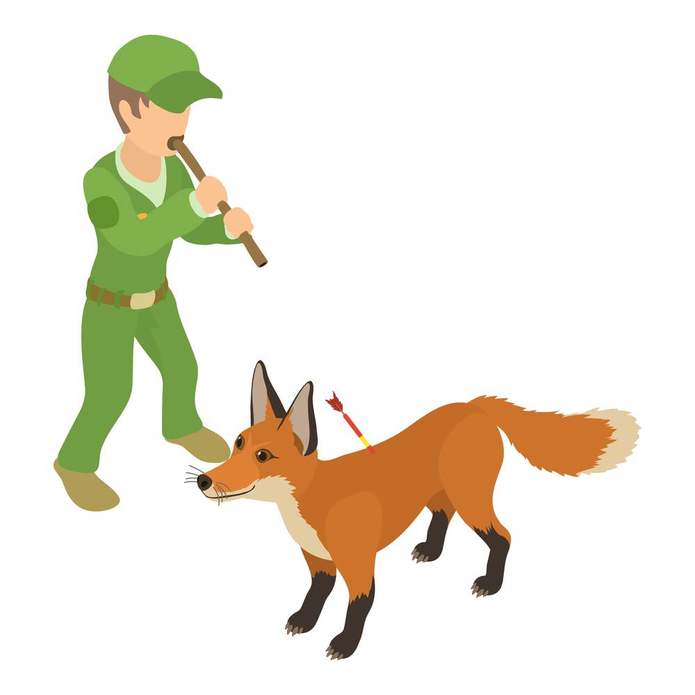 Fox capturing icon isometric vector. Man with blowpipe with dart near wild fox. Trapping of wild animal. Fox capturing icon isometric vector. Man with blowpipe with dart near wild fox