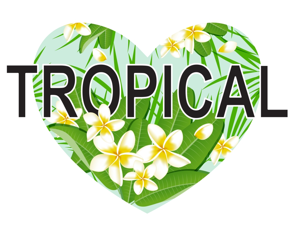 Green heart of tropical palm leaves and flowers on a white background
