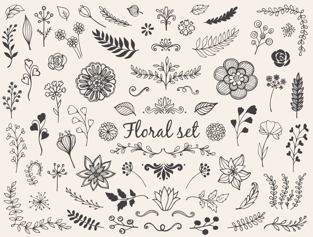 Set of hand drawn vector nature doodles. Decorative floral elements for design.
