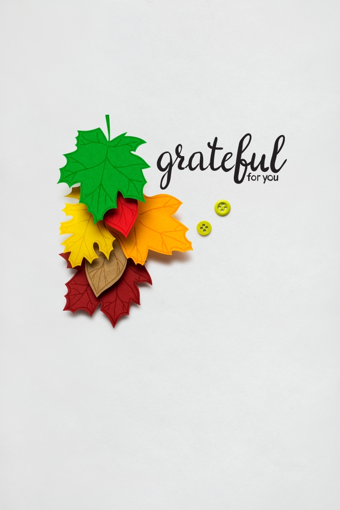 Creative thanksgiving day concept photo of leaves made of paper on white background.