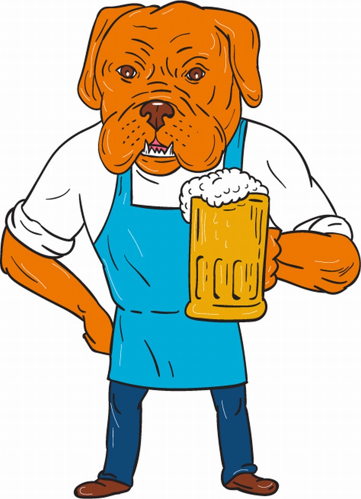 Illustration of a Dogue de Bordeaux, Bordeaux Mastiff, French Mastiff or Bordeaux dog, a large French Mastiff breed one of the most ancient French dog breeds brewer wearing apron holding beer mug with one hand on hip viewed from front set on isolated white background done in cartoon style. . Bordeaux Dog Brewer Mug Mascot Cartoon