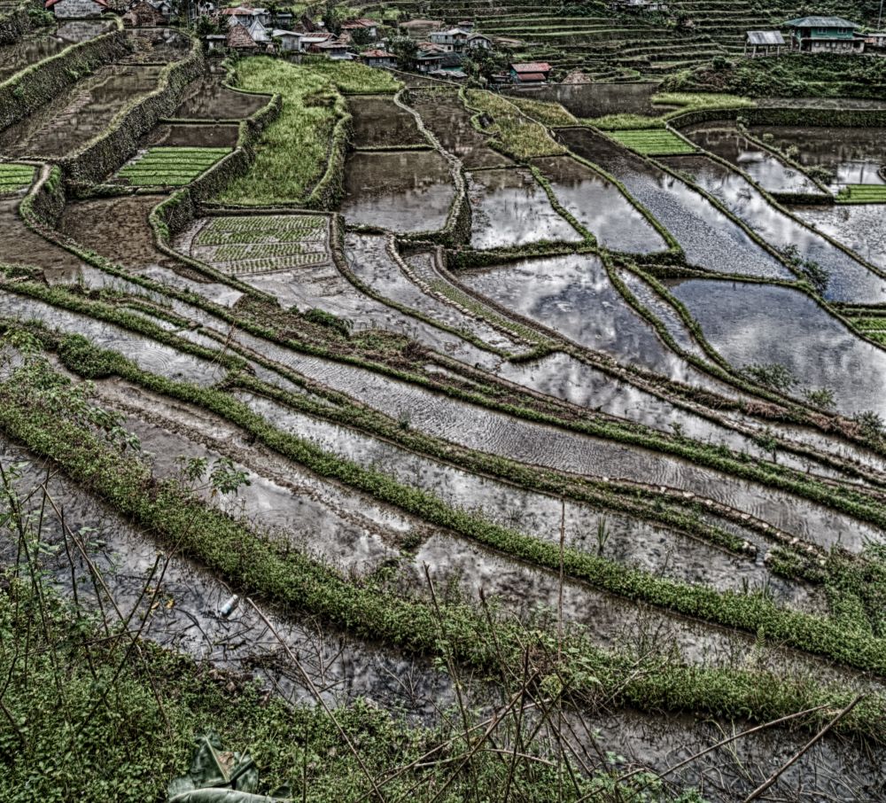 blur  in  philippines  terrace field for coultivation of rice  from banaue unesco site