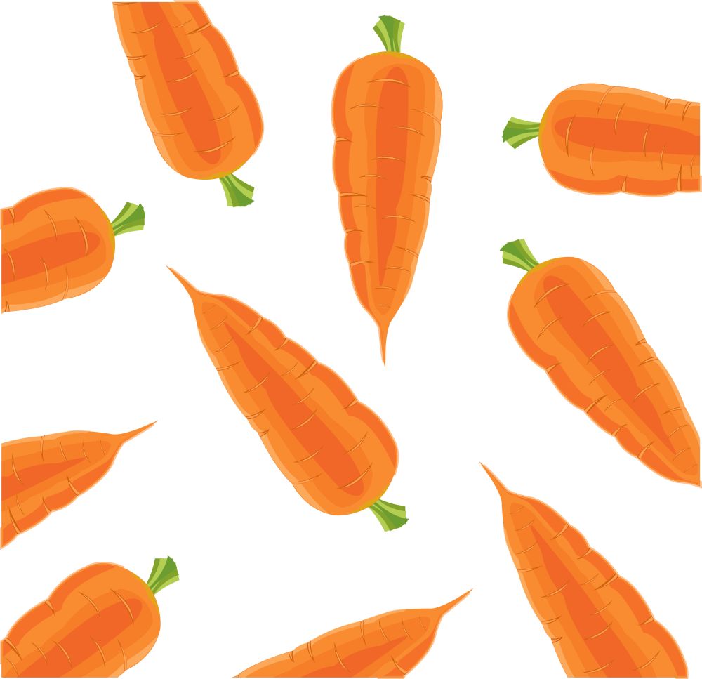Vegetable carrot on white. Seamless texture with vegetable carrot on white background
