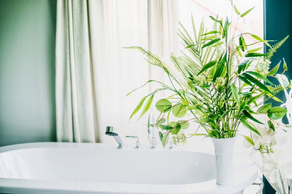 Green indoor plants in vase in bathroom  , home interior concept