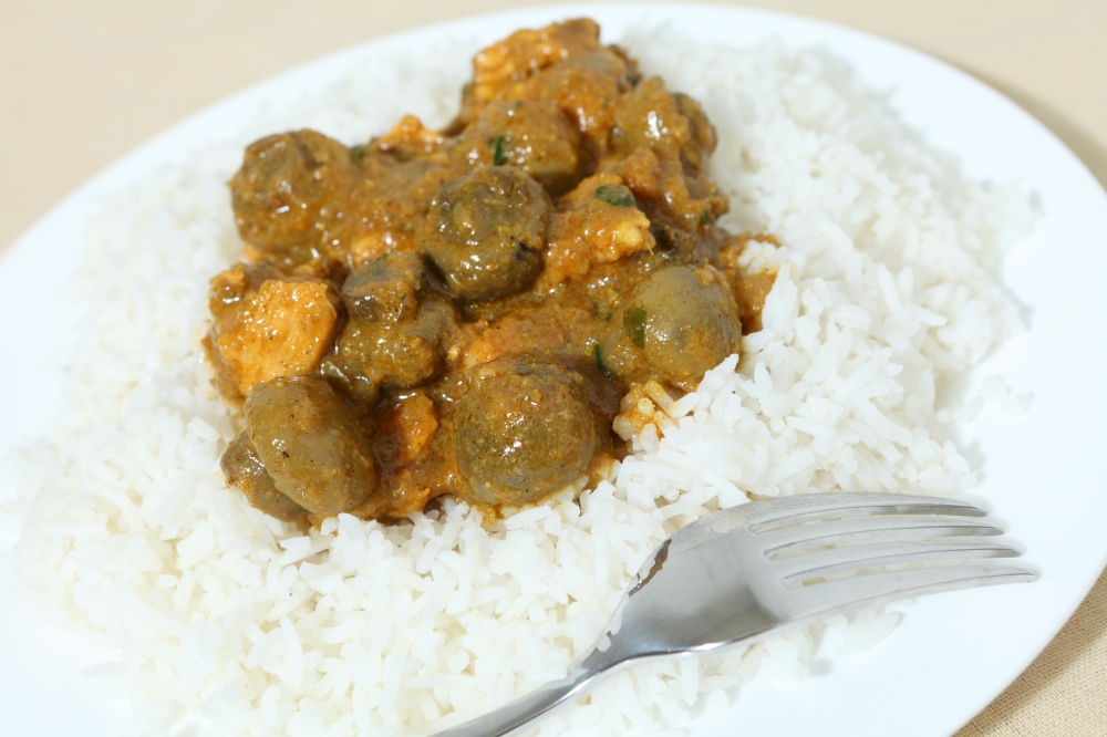Close-up view of chicken and mushroom curry with basmati rice and a fork